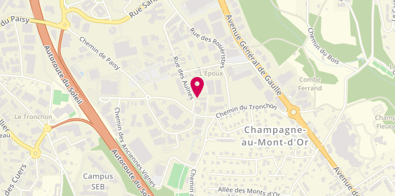 Plan de Homard 1er, 4 Rue des Aulnes, 69410 Champagne-au-Mont-d'Or